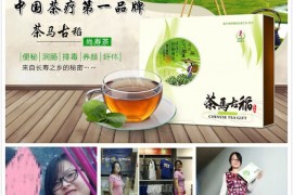 茶马古稻中国茶疗第一品牌，代理怎么做